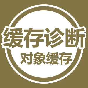 The cover of "INN 对象缓存诊断插件 - 十大必备插件"